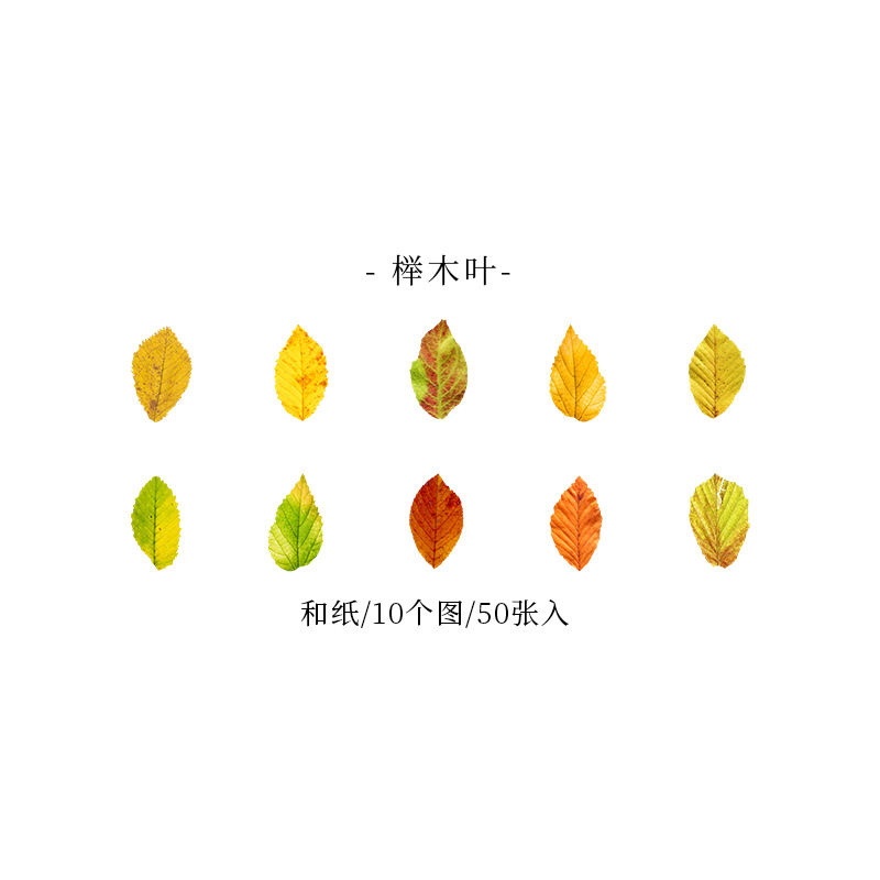 Hermosa serie de hojas caídas de xiangxie día deja cinta de forma especial Diario pegatinas decorativas base 8