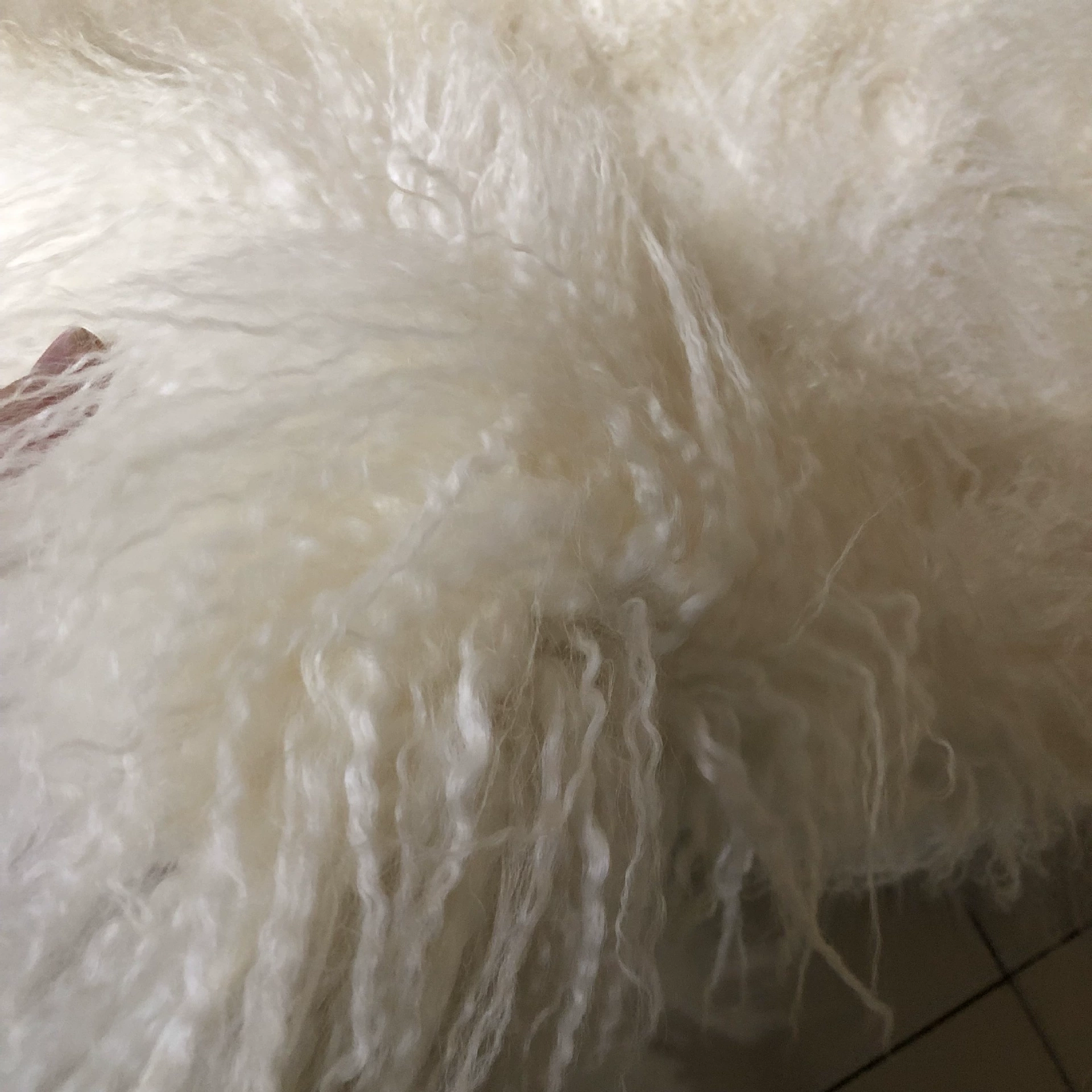 Duvet, flower core mattress, direct factory sales