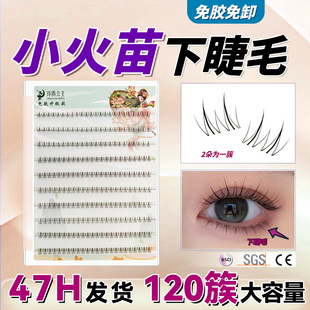 ���zС�����½�ë�ٽ�ë����͸�����۽�ë���SŮ�F��ճ�ٽ�ë���l