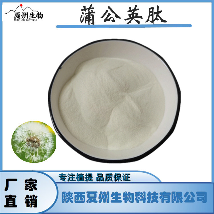 蒲公英肽  蒲公英提取物 蒲公英蛋白肽 蒲公英肽粉 化妆级 1kg