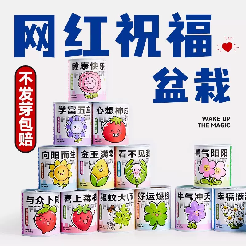 儿童罐装种植小盆栽生日礼品小学生植物盲盒幼儿奖品绿植节日礼品