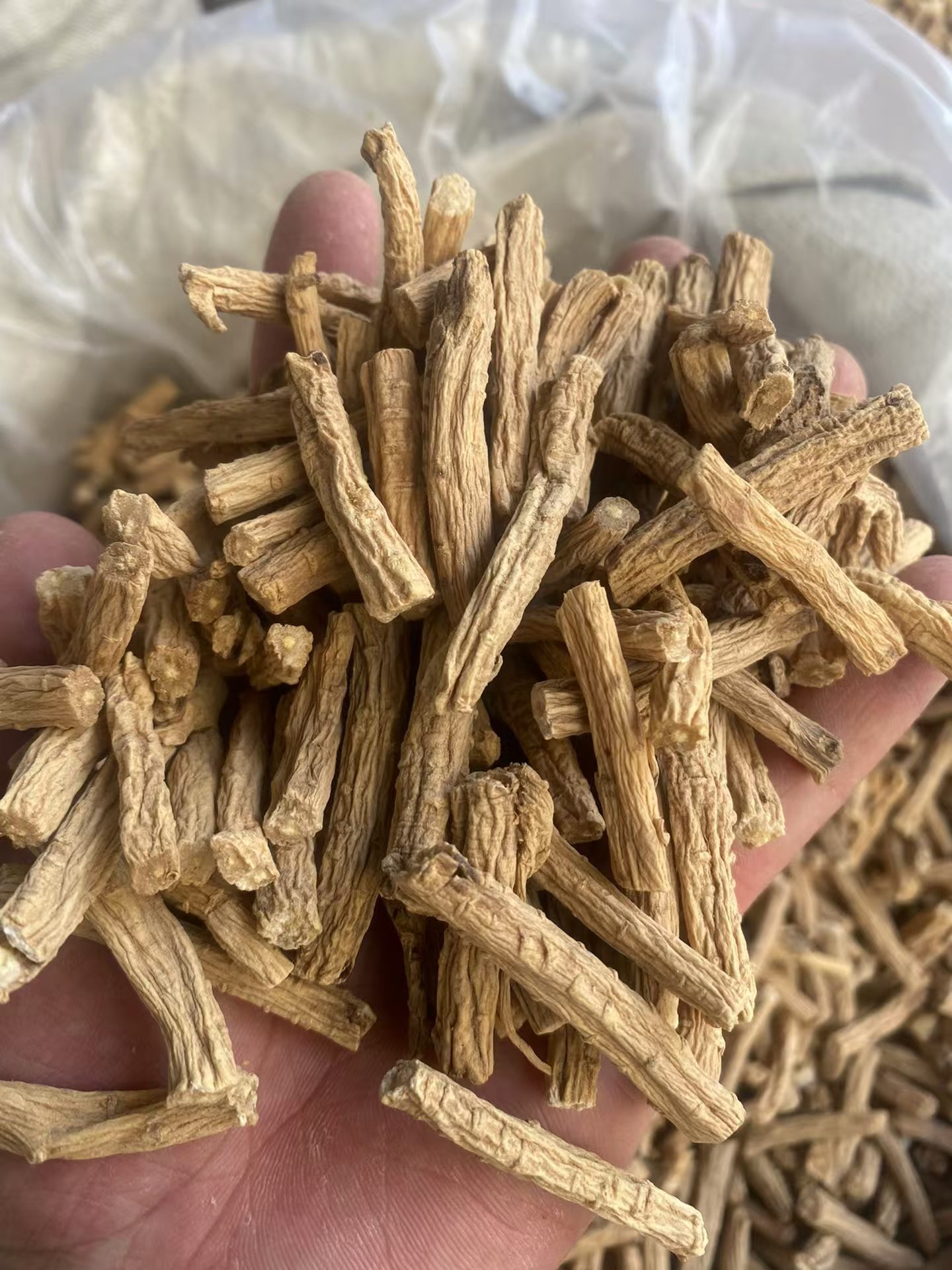 Dried Codonopsis Root Segments Gansu Minxian Dangshen for Herbal Soup specifications