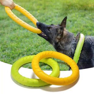 �����␞���ȦȦ�����ҧ���RȮҧ����������dogs�����w�P��ҧ�h