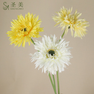 С���·����֦���z���޾� �F�����sins�L�Ҿ��b����ɫ���ʾ�