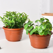 ���l���ϻ���Ӻ�ظ��Ӂ����¼��G�}�������N�˷Nֲ��Ӂ�����