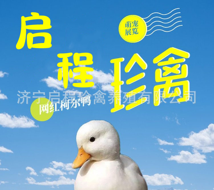 u=2693939323,3283036895&am