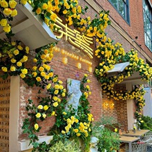 花藤黄色玫瑰花打卡造景花装饰网红瀑布网红拍照有幸小食院
