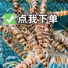 ���۲������r�Ź��r�ش��r�߹����r��ʳ�ЋD��ʳ���r��S���ֱ�l