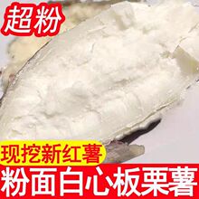 河南老品种爆皮番薯现挖白心板栗红薯干面甜新鲜白薯白瓤地瓜5斤