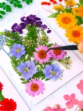 Ѻϸɻ~ճN滨ֲ˱ֹzɻdiyϰ