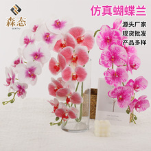 ���滨�����m֦�l��ˇ�b�cӰҕ�[���ָоӼ��̨�b������l