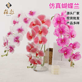 仿真花蝴蝶兰枝条花艺装饰婚庆影视摆件手感居家阳台装饰物批发