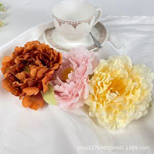 ����ĵ������ٻ��廨��Y���üҾӾƵ�[���b������Q�S�����l