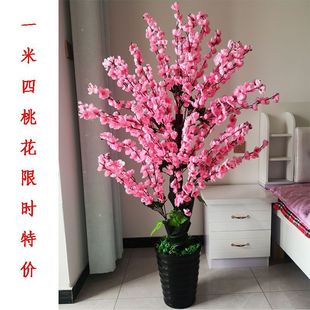 �����һ���٘�����ٻ�2024�¿�Gֲ�b߼������ҕ���b�