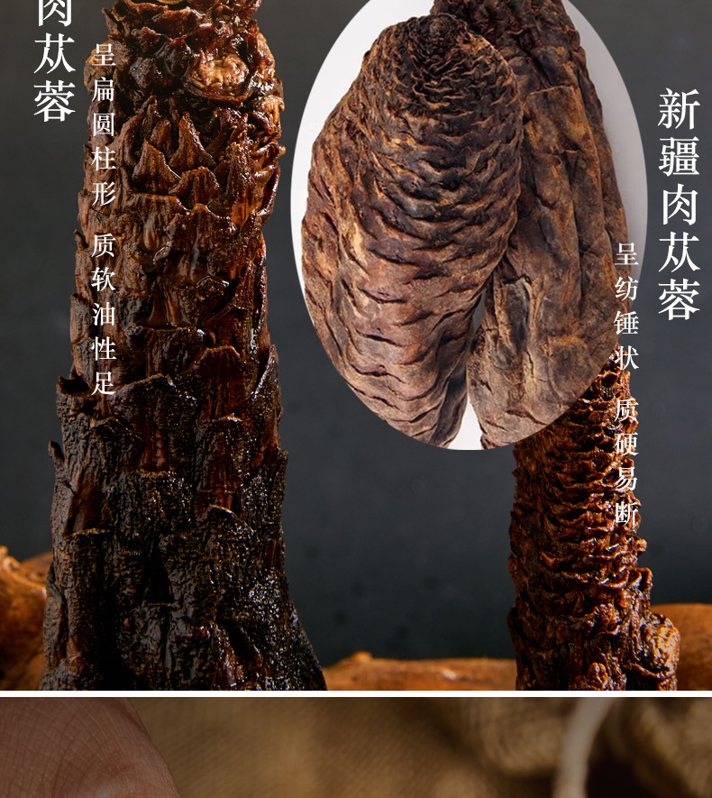 Dried Cistanche Deserticola Root Whole Stick 100g Rou Cong Rong for Herbal Wine and Soup specifications