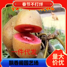 һ�����l���������Լ޽ӫJ���Ҙ��箔��Y���������tꖼt�ď���