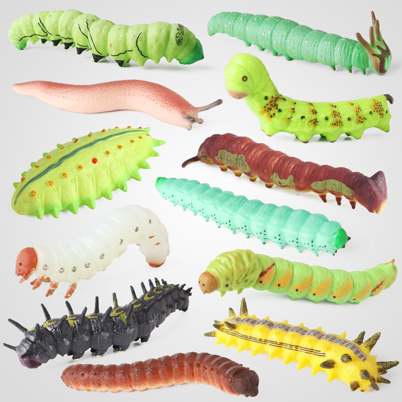 Children's cognitive insect and animal models: meatworm, clove hawk-moth, oak silkworm, spiny oakworm, snail, caterpillar, larva