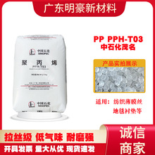 ïʯPPH-T03۾۱ϩzעܔDͨT30Sԭw