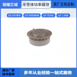 普通晶闸管;IGBT模块;集成电路