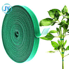 热植爬藤绿植捆绑魔术贴粘扣带园林植物花卉造型背对背固定绑带