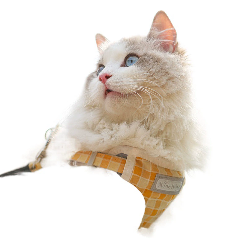 Поводок для кошек, нагрудный ремень для собак, нагрудный ремень, прогулочная веревка, специальные принадлежности для кошек
