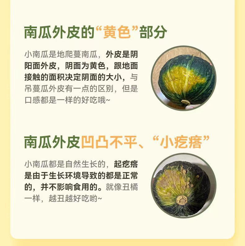 cb26fc4a-8dec-4e64-9823-e714efc9561c.jpe