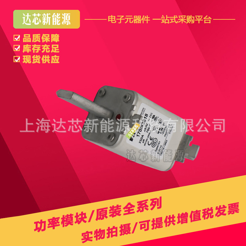 170M3769 170M3770 170M3771 170M3772 170M3773全新巴斯曼熔断器