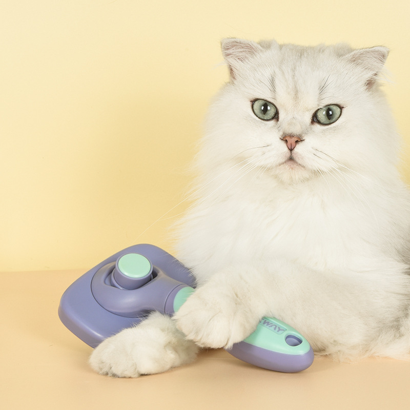 Paiwei T10 autolimpiante aguja peine mascota gato peine nudo peine masaje peine cepillo de pelo de un solo clic de depilación lavable