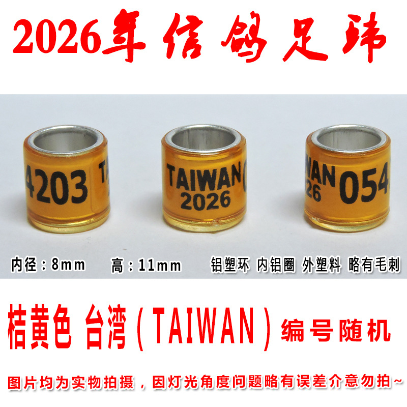 2026年桔色台湾