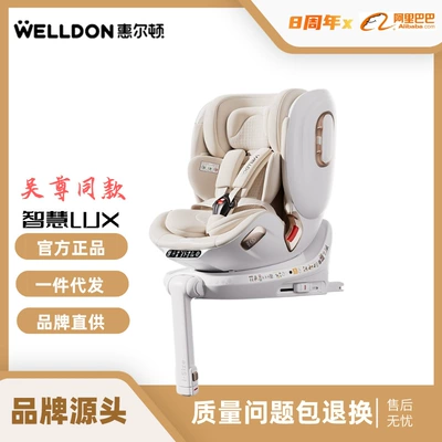 for Infants Aged 0-7 – Car child safety seat