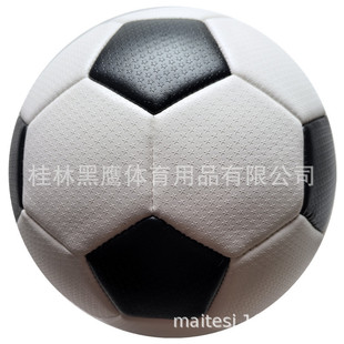 5̖�C�pС�����������ڰ׽�����w�������Ƥ�| 2025���Q�N����