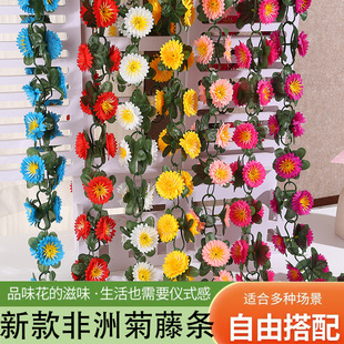���滨���޾��ٗl��朼ٻ������҃ȱڒ���{�ܵ��ړ��b����Q�羳