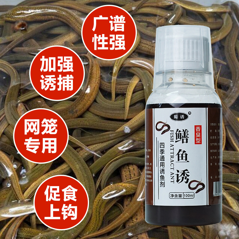 Pequeña medicina para anguila, cebo de cebo