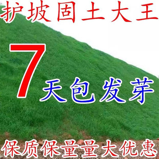 ��ƺ�N�����ð�ϲ�ļ��๷������������