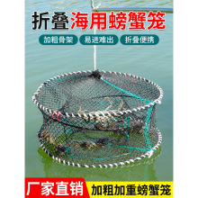 海用螃蟹笼蟹笼加粗加重折叠圆形弹簧笼子抓螃蟹笼海边捕蟹网