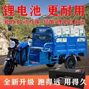 大功率農拉貨擺攤快遞新款老年代步新款鋰電池電動三輪車爬坡載重