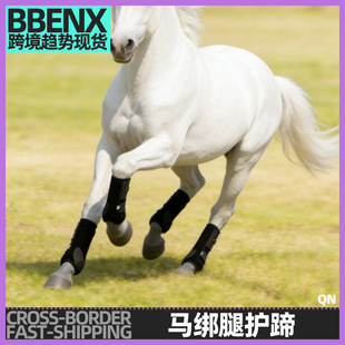 �R�����o���ײ�ϵKِ�R�o������߂����o���R�ȱ��o���R�o�Ƚ���