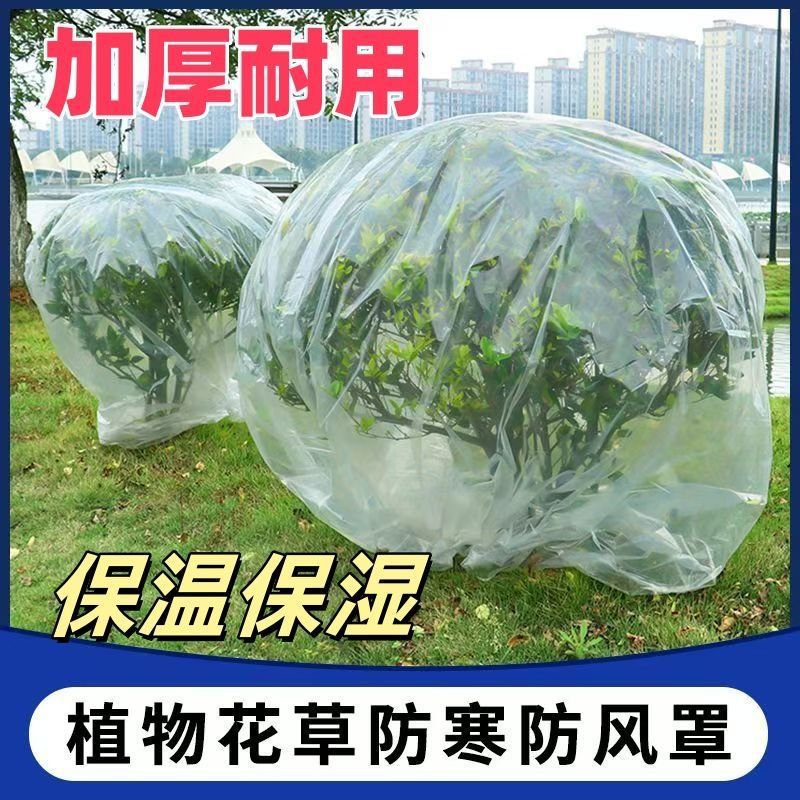 冬季绿植防冻透明保护罩防寒防尘密封可见聚乙烯材质不可抽真空