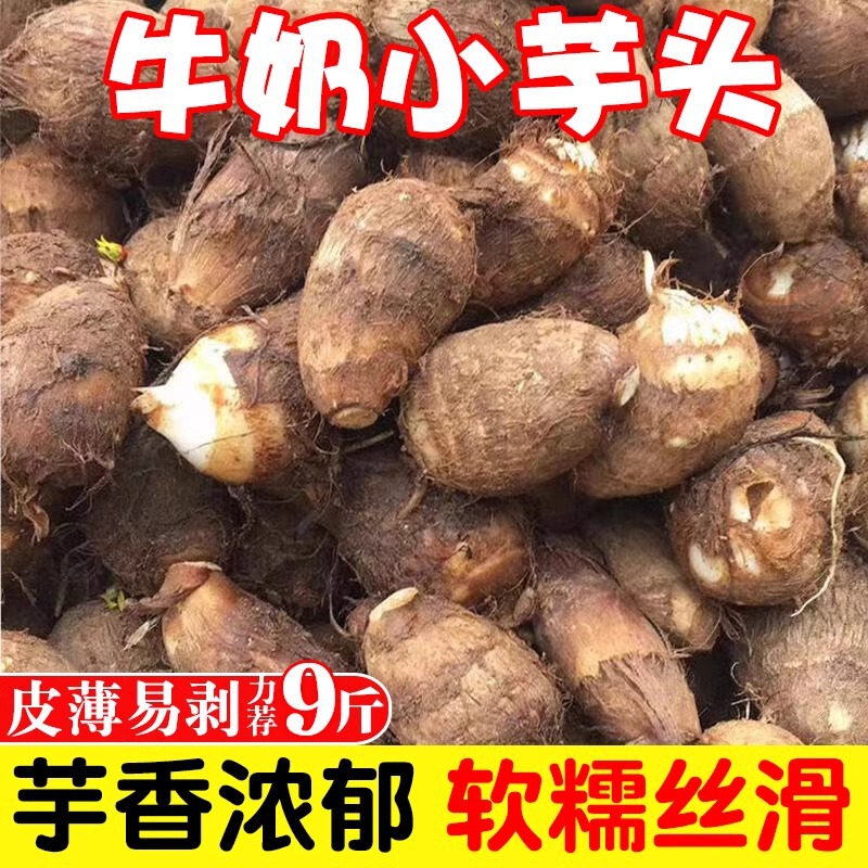 Guangxi Milk Taro 10 Fresh Vegetables Commercial Betel Nut Taro Fragrant Taro Hairy Taro Taro Farm-Grown