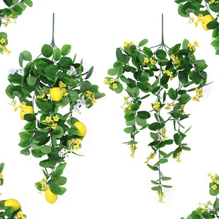 �羳���晎�ʱڒ�Ҿ��b���GֲС�����������Ғ�Gɫֲ���