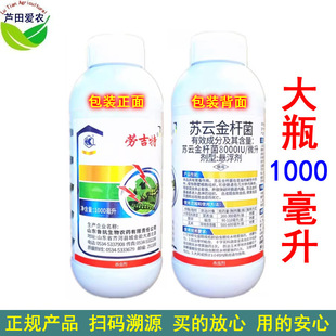 1kg �ڼ��� �K녽�U�������rș�K녽���� �rș�߲˲����x���x��