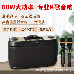 Travel wireless speakers, handheld microphone, bluetooth, 60W, high power