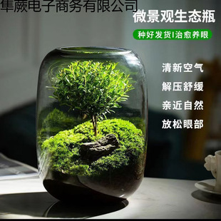 ����֮�����Bƿ����΢���^���������k���ҾGֲ��Ʒ�辰���B����̦