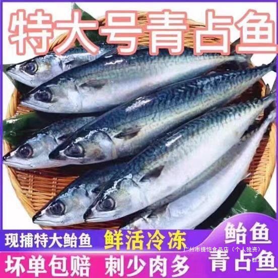 鲐鲅鱼青条鱼新鲜活台鱼马鲛鱼整条冷冻青花鱼马友鱼银鱼整鱼常温