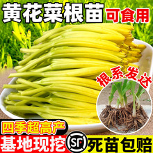 �S���˸���ʳ���S���˷N���ᘲ˽�ᘻ��������N�ѬF�ڬF�l���ɻ�