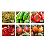 Байер, Германия, принимает вражеский стабилизатор 肟 肟+пентразолех виноградный клубничный белый порош