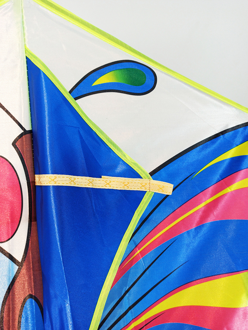 XCH长尾彩蝶- (11).jpg