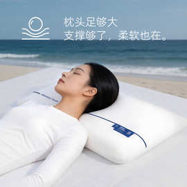 慢回弹记忆海绵枕头成人枕pro-舒睡枕酒店冰丝护颈枕深睡眠记忆枕
