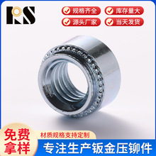 Ӣ��CLS-440-0-1CLS-440-3̼�304���P䓉��T��ĸ 4#40�F ����