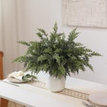 �羳���u����ؘ�֦�F����ᘾGֲ���W�L���������b�